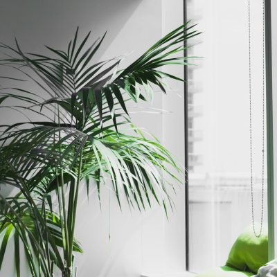 alesia-kaz-E8dAbseeFLo-unsplash